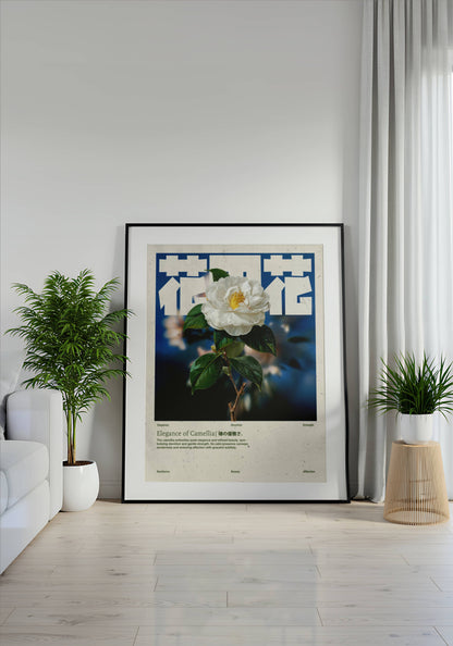 Camélia Blanche Vintage – Affiche murale japonaise élégante