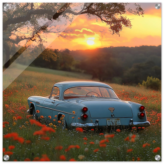 dd8d8d84-32ea-43f2-8557-5fcf0d88240b